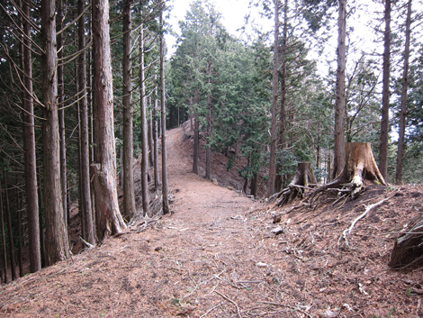 20190205hike (269)